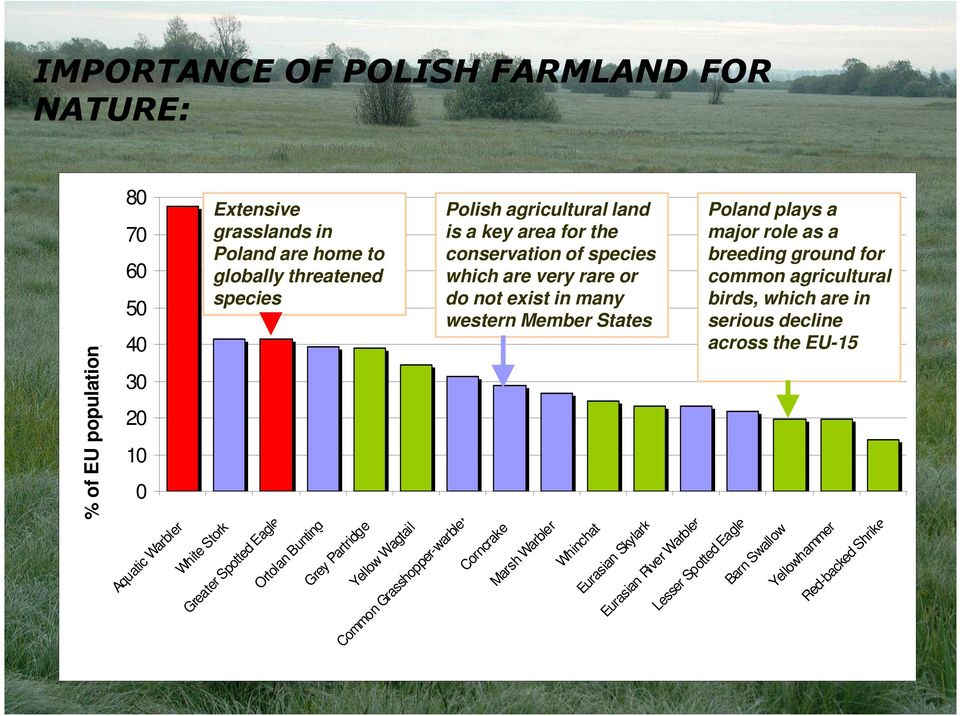 agricultural birds, which are in serious decline across the EU-15 % of EU population Aquatic Warbler White Stork Greater Spotted Eagle Ortolan Bunting Grey Partridge