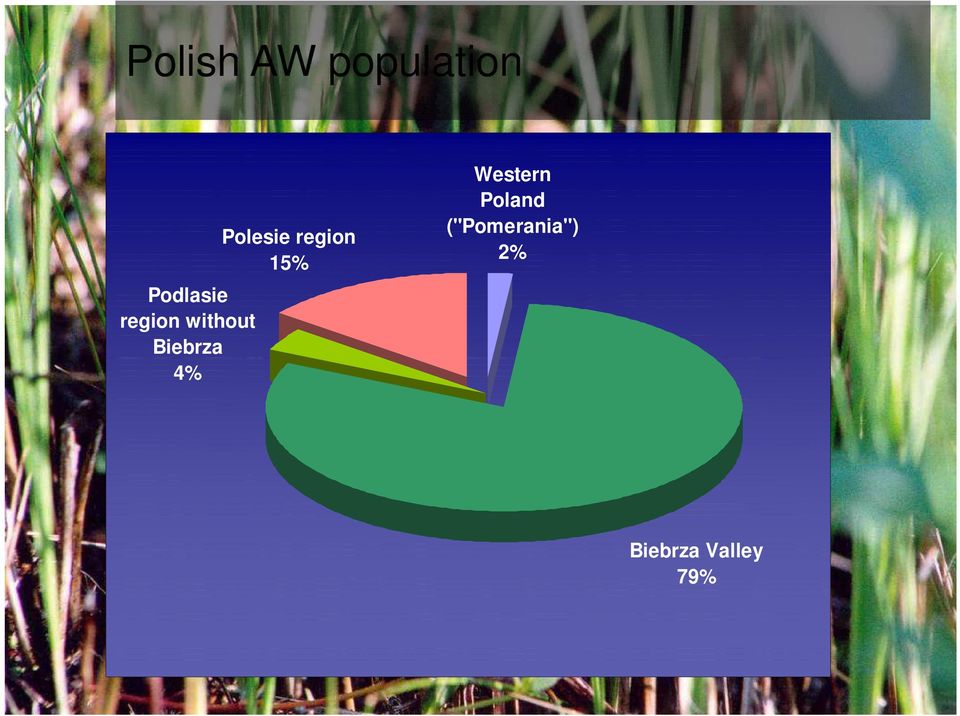 Polesie region 15% Western