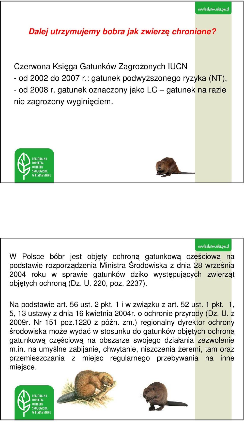 W Polsce bóbr jest objęty ochroną gatunkową częściową na podstawie rozporządzenia Ministra Środowiska z dnia 28 września 2004 roku w sprawie gatunków dziko występujących zwierząt objętych ochroną (Dz.