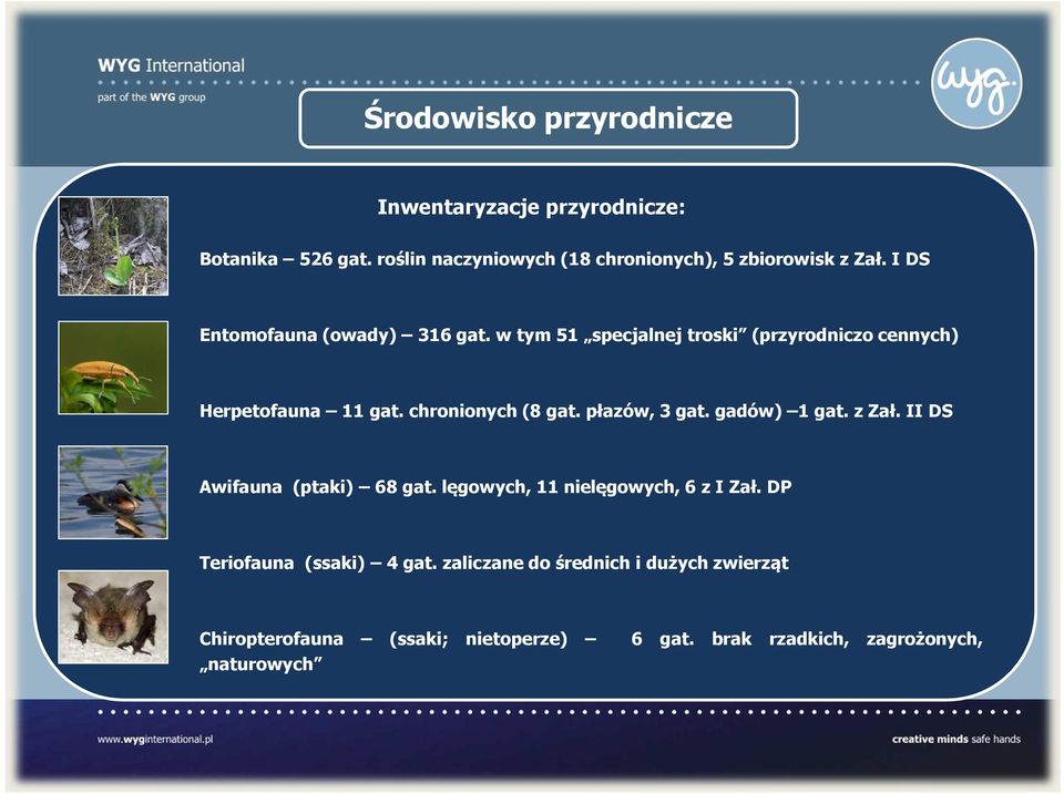 w tym 51 specjalnej troski (przyrodniczo cennych) Herpetofauna 11 gat. chronionych (8 gat. płazów, 3 gat. gadów) 1 gat. z Zał.