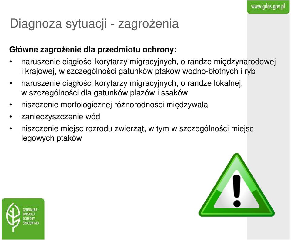 korytarzy migracyjnych, o randze lokalnej, w szczególności dla gatunków płazów i ssaków niszczenie morfologicznej