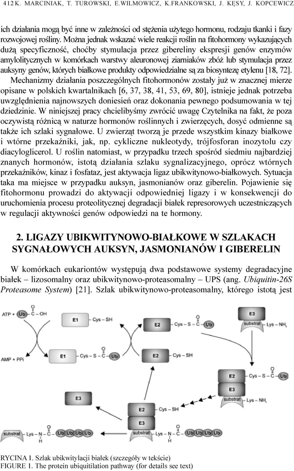 ziarniaków zbó lub stymulacja przez auksyny genów, których bia³kowe produkty odpowiedzialne s¹ za biosyntezê etylenu [18, 72].