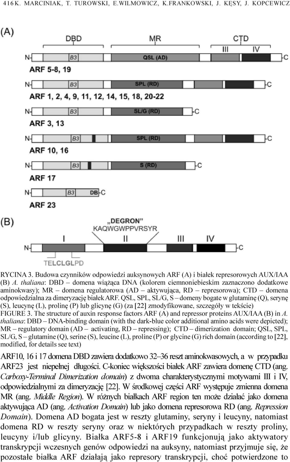 ARF. QSL, SPL, SL/G, S domeny bogate w glutaminê (Q), serynê (S), leucynê (L), prolinê (P) lub glicynê (G) (za [22] zmodyfikowane, szczegó³y w tekœcie) FIGURE 3.