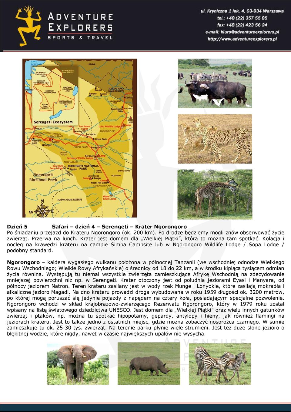 Ngorongoro kaldera wygasłego wulkanu położona w północnej Tanzanii (we wschodniej odnodze Wielkiego Rowu Wschodniego; Wielkie Rowy Afrykańskie) o średnicy od 18 do 22 km, a w środku kipiąca tysiącem