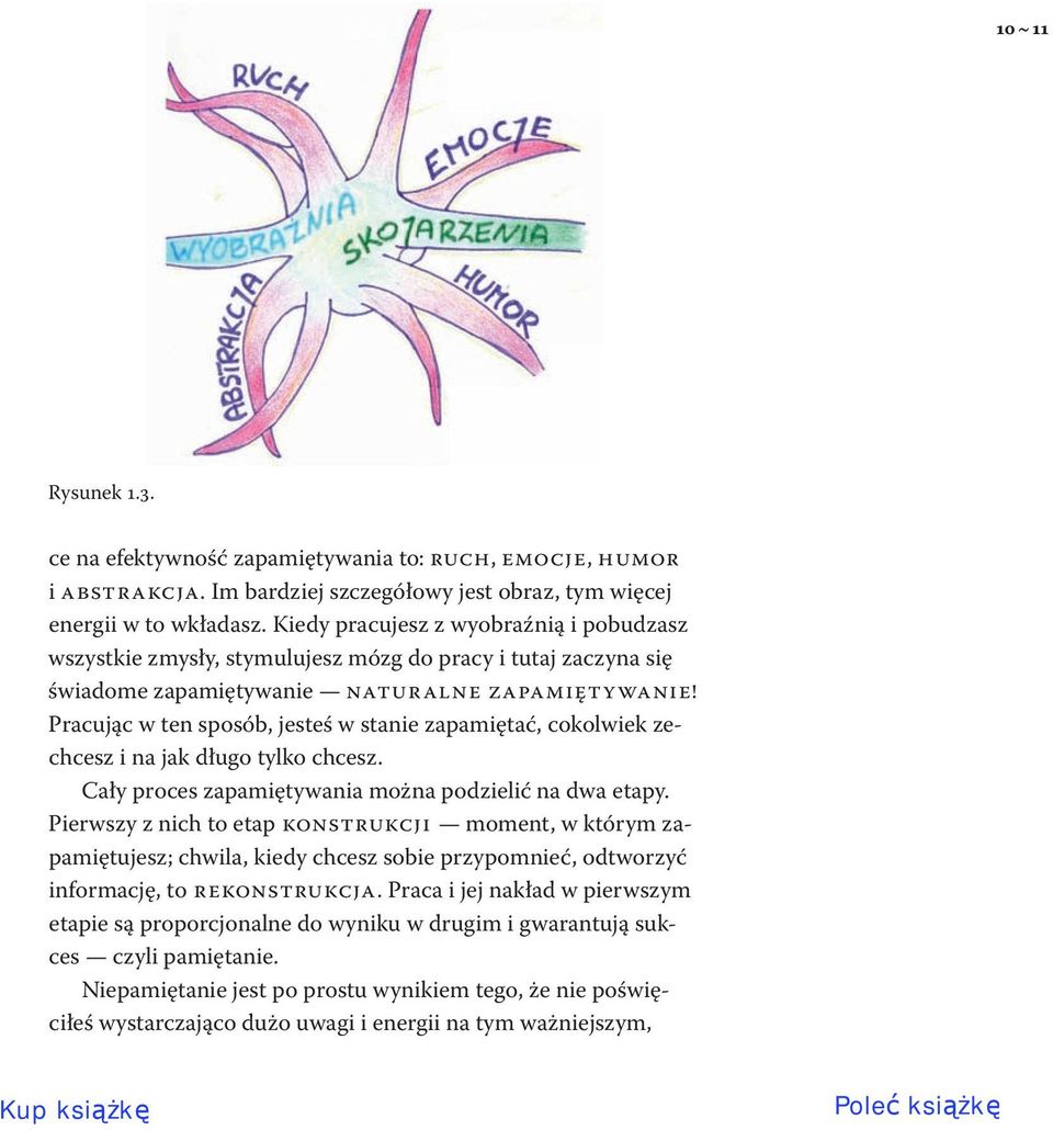 Pracując w ten sposób, jesteś w stanie zapamiętać, cokolwiek zechcesz i na jak długo tylko chcesz. Cały proces zapamiętywania można podzielić na dwa etapy.