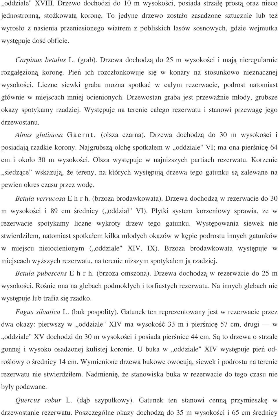 Drzewa dochodz do 25 m wysokoci i maj nieregularnie rozgałzion koron. Pie ich rozczłonkowuje si w konary na stosunkowo nieznacznej wysokoci.