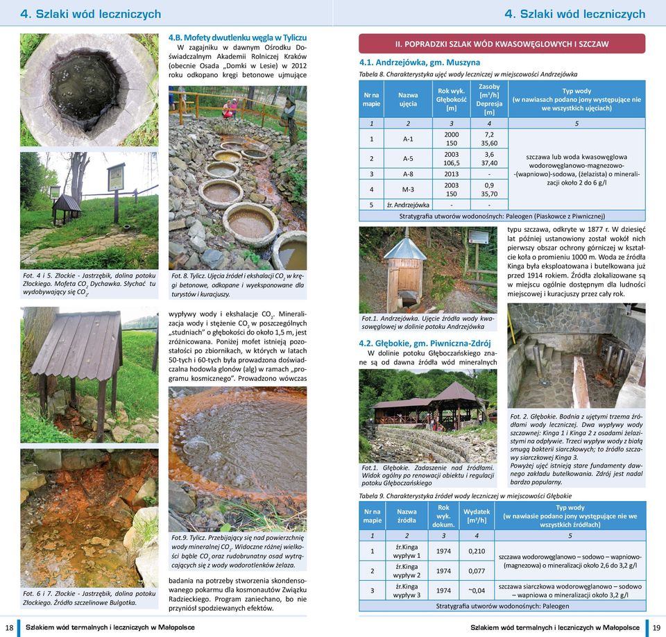 wypływy wody i ekshalacje CO 2. Mineralizacja wody i stężenie CO 2 w poszczególnych studniach o głębokości do około 1,5 m, jest zróżnicowana.