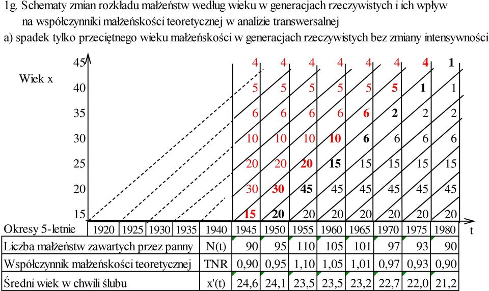 15 15 15 15 15 20 30 30 45 45 45 45 45 45 15 15 20 20 20 20 20 20 20 Okresy 5-letnie 1920 1925 1930 1935 1940 1945 1950 1955 1960 1965 1970 1975 1980 t Liczba małżeństw zawartych przez