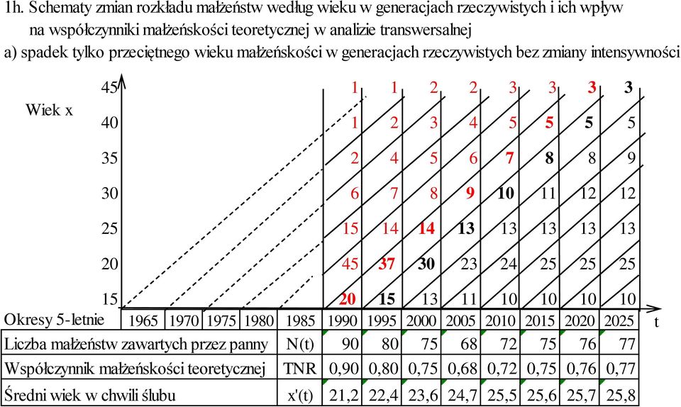13 13 13 13 13 20 45 37 30 23 24 25 25 25 15 20 15 13 11 10 10 10 10 Okresy 5-letnie 1965 1970 1975 1980 1985 1990 1995 2000 2005 2010 2015 2020 2025 t Liczba małżeństw zawartych