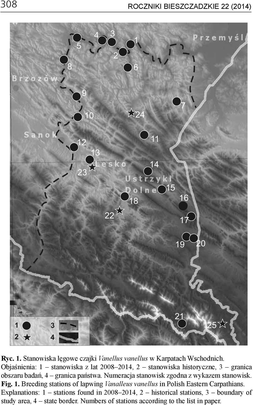 Numeracja stanowisk zgodna z wykazem stanowisk. Fig. 1. Breeding stations of lapwing Vanalleus vanellus in Polish Eastern Carpathians.