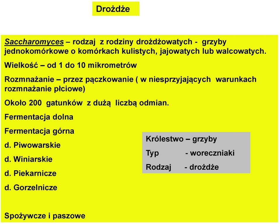 Wielkość od 1 do 10 mikrometrów Rozmnażanie przez pączkowanie ( w niesprzyjających warunkach rozmnażanie