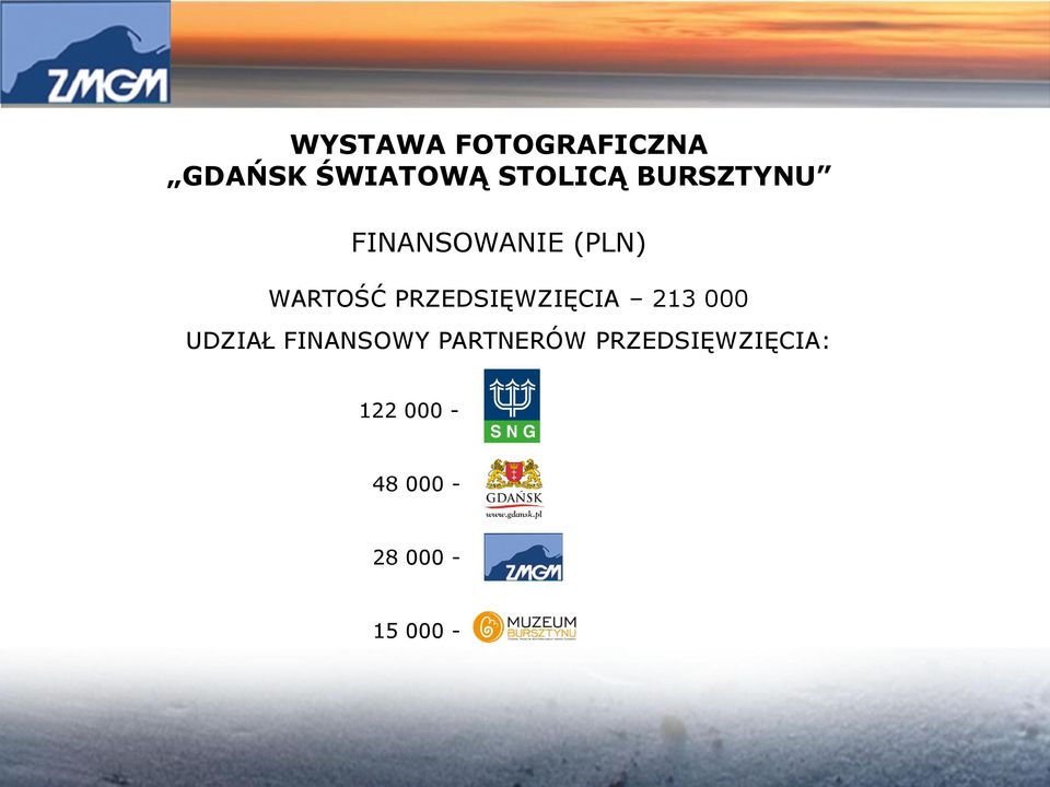 PRZEDSIĘWZIĘCIA 213 000 UDZIAŁ FINANSOWY