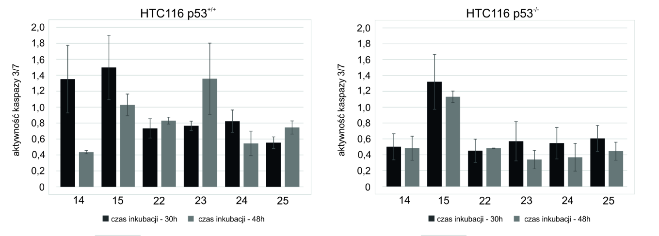 W celu zbadania, wpływu glikokoniugatów na stopień aktywacji ścieżki apoptotycznej na drodze kaspazy 3/7 w komórkach HCT116 p53 +/+ i p53 -/- przeprowadzono luminescencyjny test.