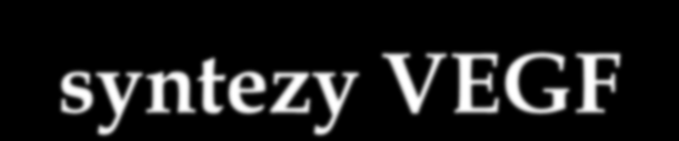 CZYNNIK WZROSTU ŚRÓDBŁONKA NACZYŃ VEGF główny czynnik regulujący angiogenezę, czynnik pro-angiogenny - Wzmaga przepuszczalność naczyń - Zwiększa żywotność komórek śródbłonka - Zwiększa