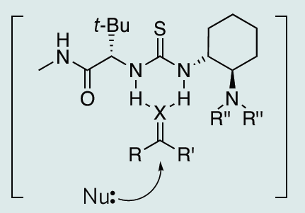 katalizatory tiomocznikowe Asymetryczna reakcja Streckera Asymetryczne hydrofosforylowanie Jacobsen E.. et al. (2002) J. Am. Chem. Soc.