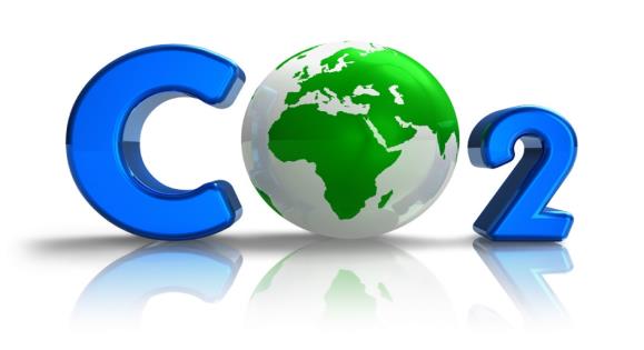 Akcje pierwotne na TGE AUKCJE CO 2 II OKRES ROZLICZENIOWY Rok 2013, TGE jako podwykonawca GPW wykonywała na rzecz KOBIZE usługi prowadzenia internetowej platformy aukcyjnej dla zbycia przez Polskę