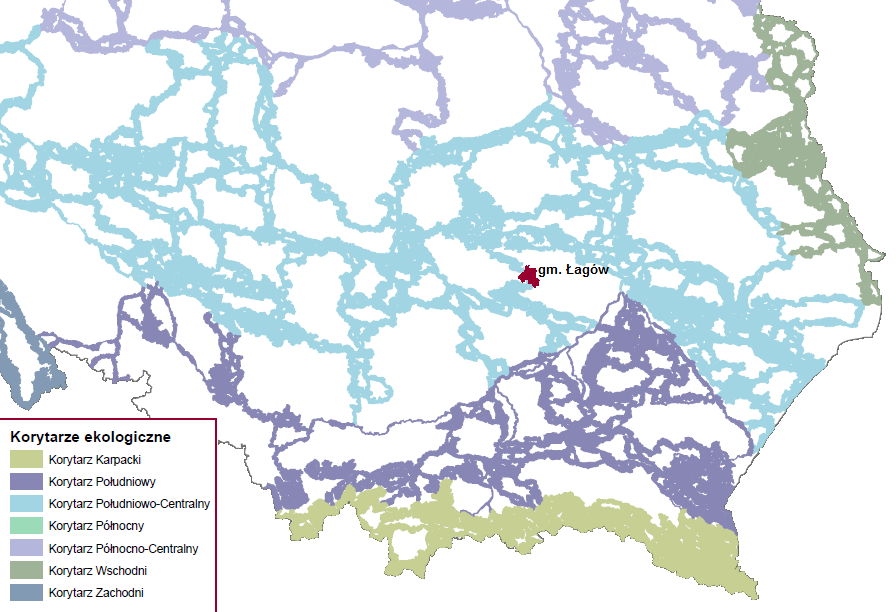 i wschodniej występują małe rozproszone lasy prywatne. Dominującymi gatunkami drzewostanu są jodła i sosna, w mniejszym udziale występuje buk, dąb, brzoza i olsza (Nadleśnictwo Łagów).