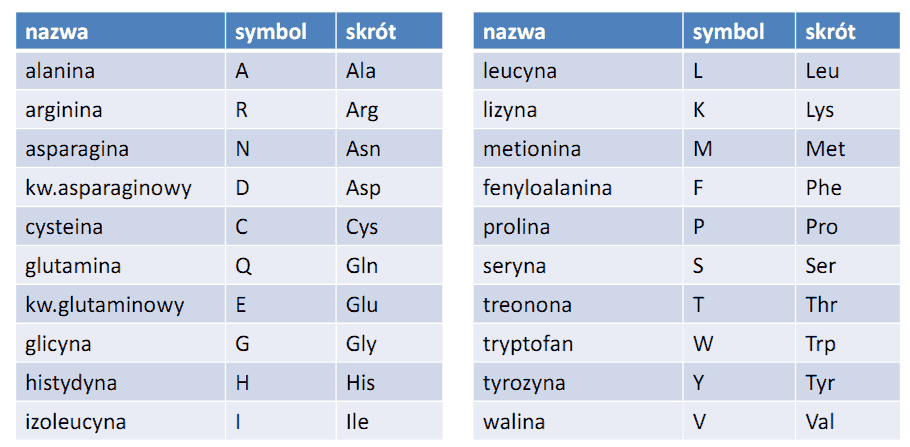 Aminokwasy białkowe i slajd