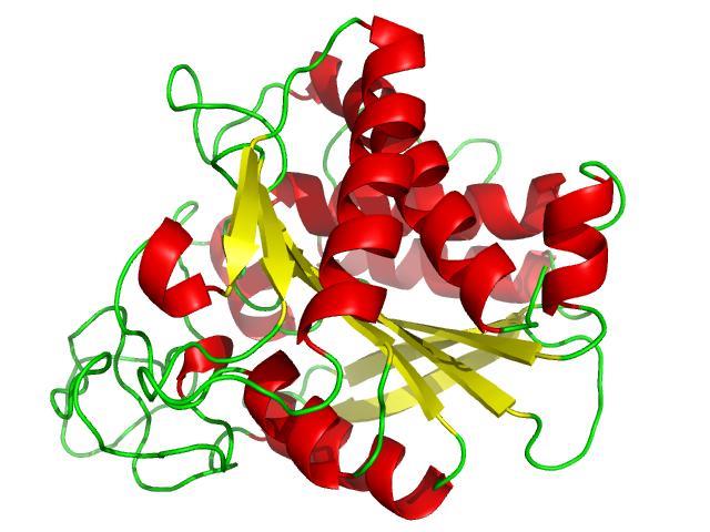 białek Poszukiwanie miejsc wiążących Modelowanie molekularne