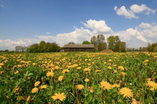 Dziękuję za uwagę www.wrotamalopolski.pl Wydział Wdrażania PROW tel.