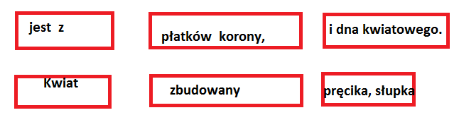 Nauczyciel wywiesza na tablicy ilustrację z budową kwiatu. Omawia jego budowę. Uczniowie otrzymują kartki z zadaniem polegającym na uzupełnieniu nazw części kwiatów.