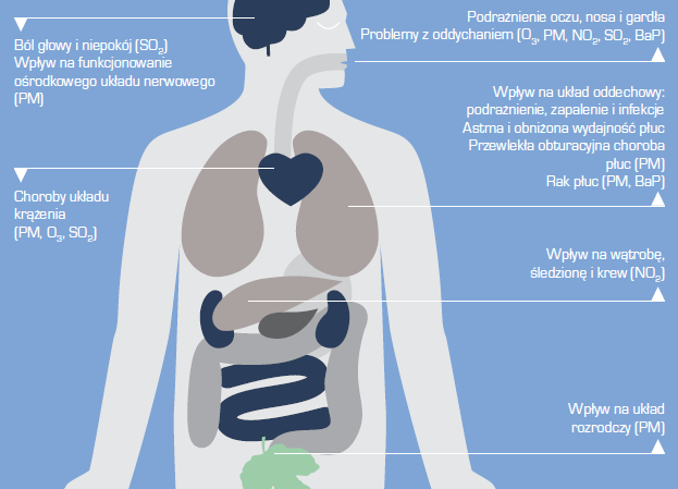 Zanieczyszczenia w atmosferze złożony problem zdrowotny, Źródło: Air quality in Europe