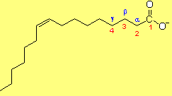 KWASY TŁUSZCZOWE Nazewnictwo kwasów tłuszczowych Nazwy systematyczne wywodzą się od liczebników greckich położenie podwójnego wiązania oznacza się symbolem D, a numery węgli biorących udział