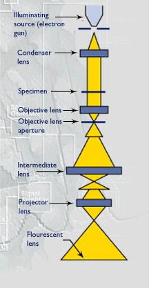 !!) TEM to instrument umożliwiający obrazowanie na poziomie atomowym oraz dostarczający informacji o składzie chemicznym i krystalografii materiału.