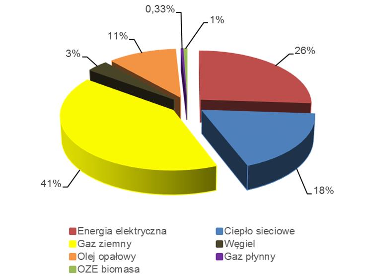 ciepło sieciowe (12%). 6.2.4.