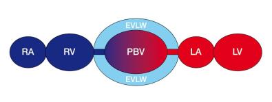 SVR = Systemic Vascular Resistance SVR = (MAP CVP) x 80 CO SVRI- służy do oszacowania oporu następczego Extravascular Lung