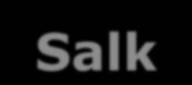 Jonas Salk Salk ogłasza otrzymanie szczepionki przeciw paraliżowi dziecięcemu;