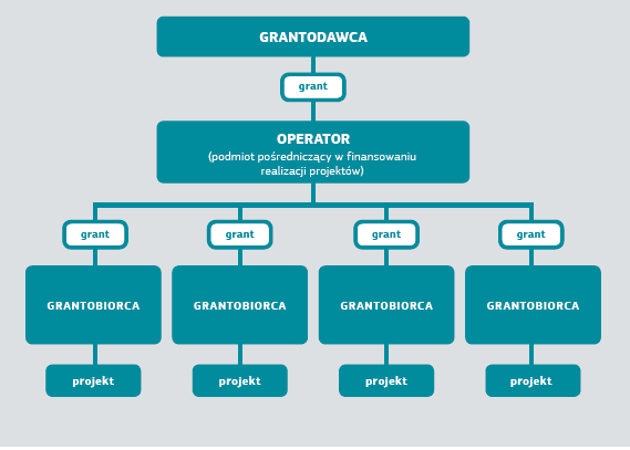 samorząd dotacja NGO Lokalne podmioty i