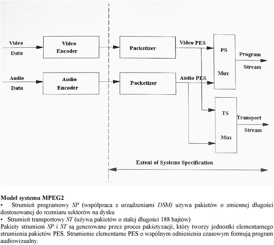 bajtów) Pakiety strumieni SP i ST są generowane przez proces pakietyzacji, który tworzy jednostki