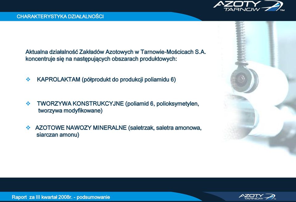 koncentruje się na następujących obszarach produktowych: KAPROLAKTAM (półprodukt do