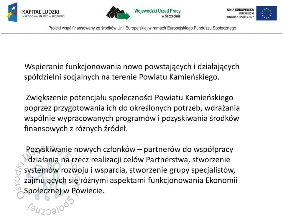 programów i pozyskiwania środków finansowych z różnych źródeł.