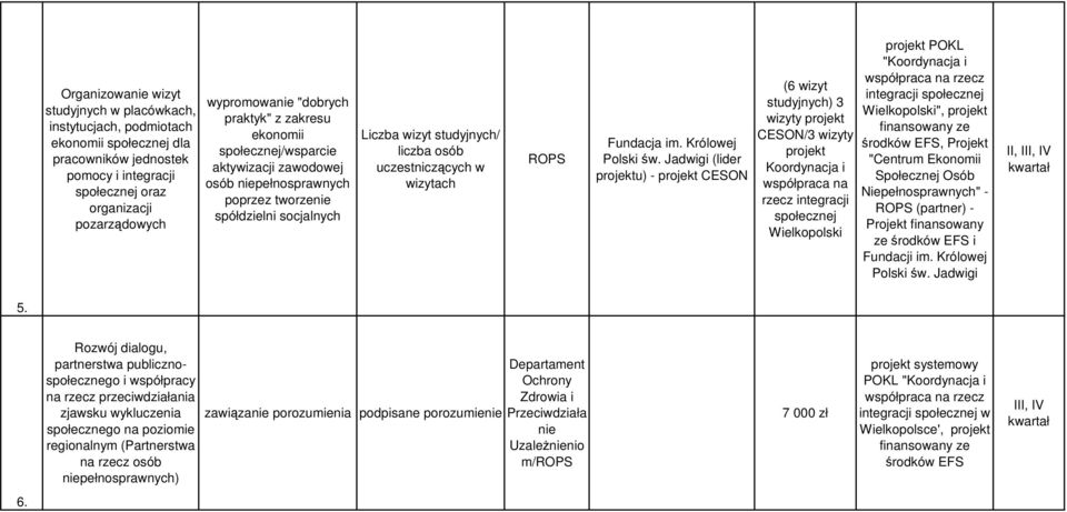 ROPS Fundacja im. Królowej Polski św.