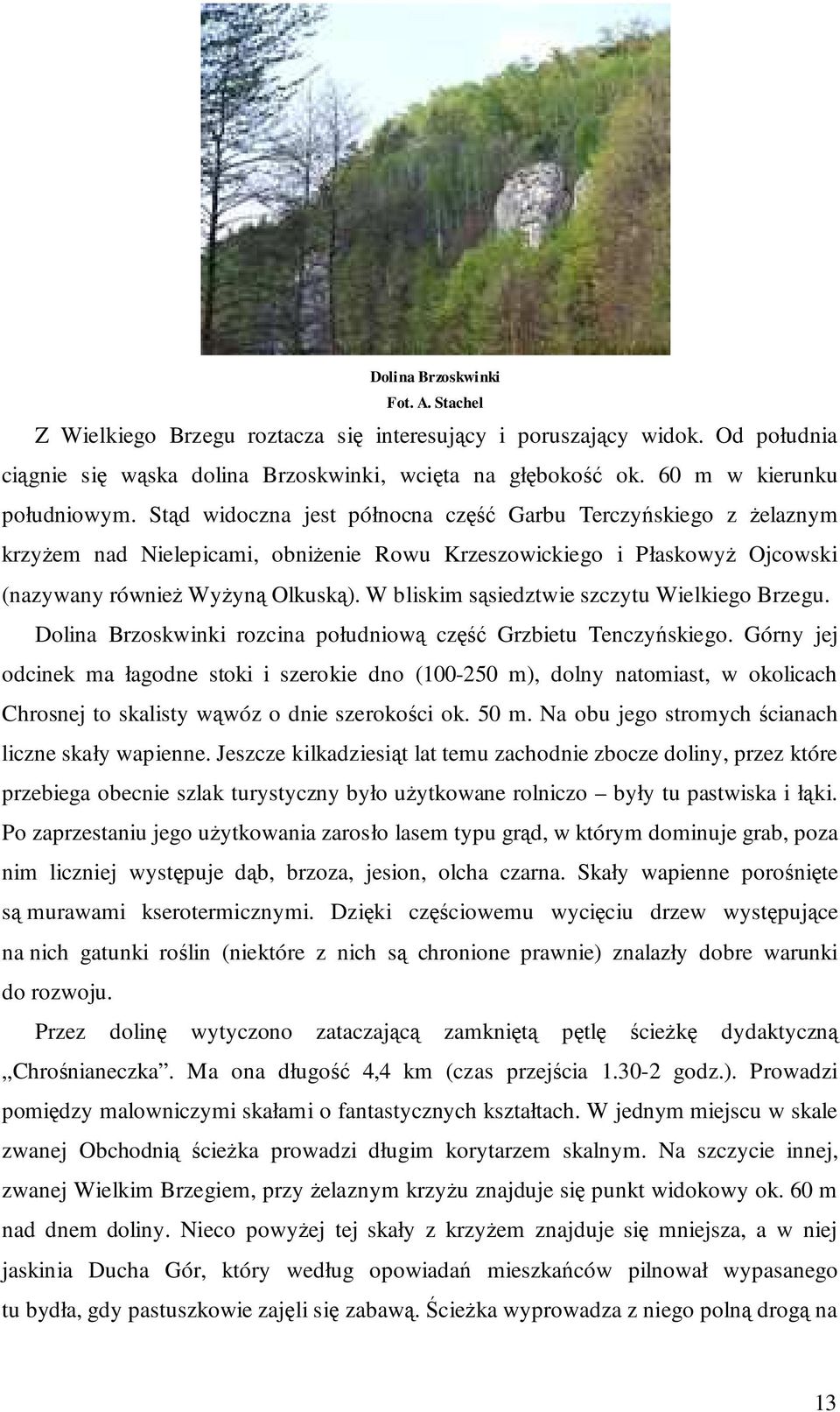 Stąd widoczna jest północna część Garbu Terczyńskiego z Ŝelaznym krzyŝem nad Nielepicami, obniŝenie Rowu Krzeszowickiego i PłaskowyŜ Ojcowski (nazywany równieŝ WyŜyną Olkuską).