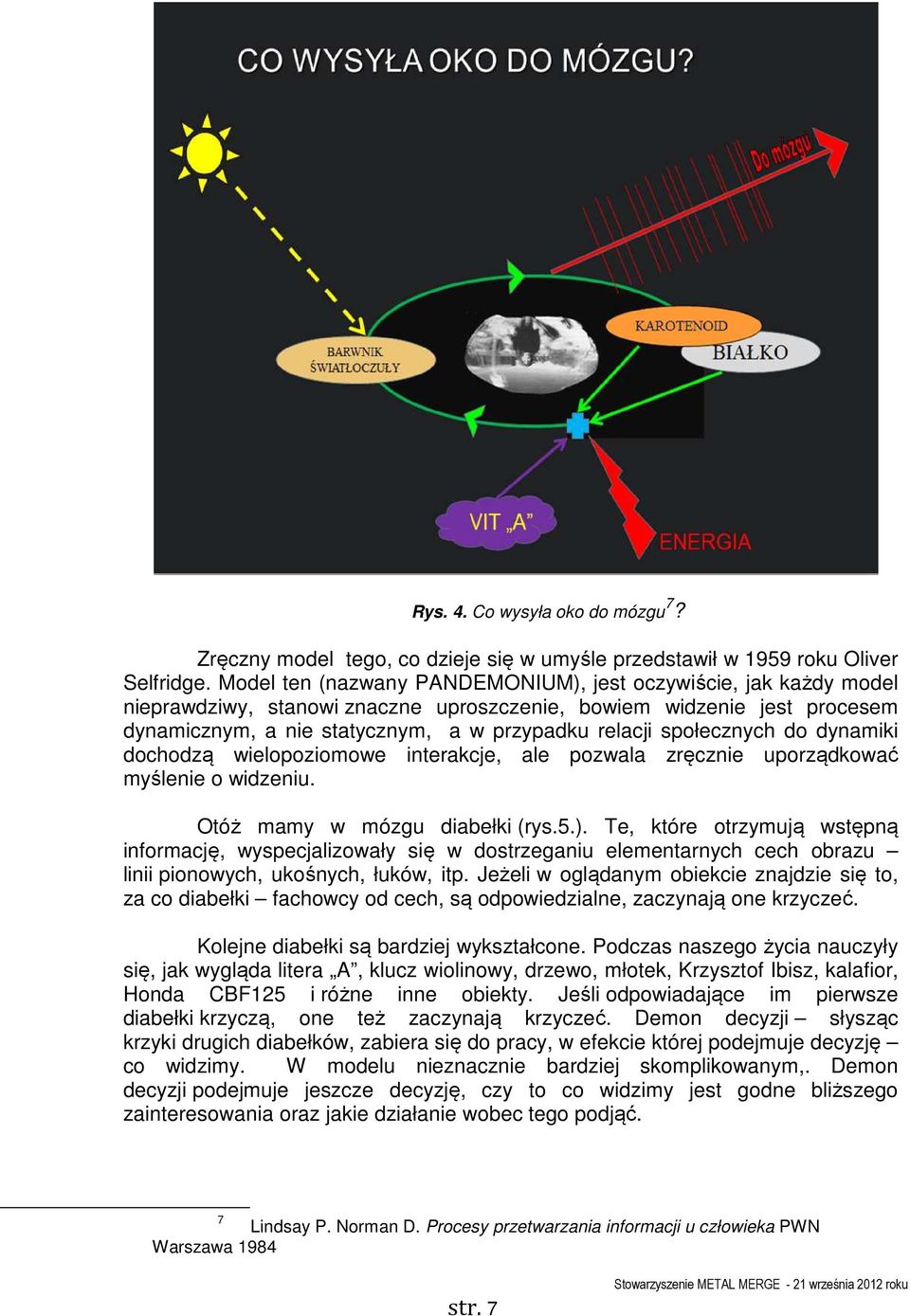 społecznych do dynamiki dochodzą wielopoziomowe interakcje, ale pozwala zręcznie uporządkować myślenie o widzeniu. Otóż mamy w mózgu diabełki (rys.5.).