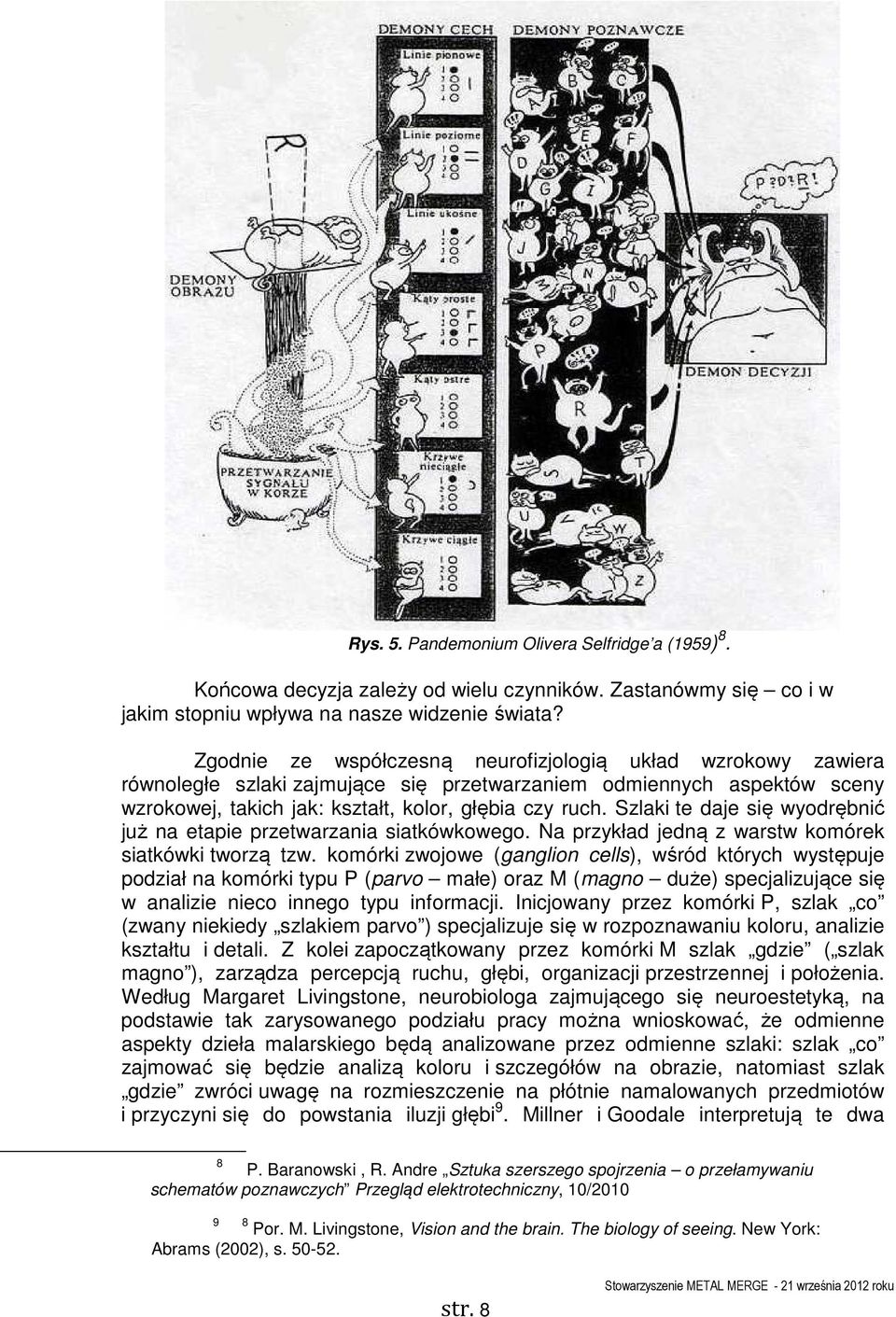 Szlaki te daje się wyodrębnić już na etapie przetwarzania siatkówkowego. Na przykład jedną z warstw komórek siatkówki tworzą tzw.