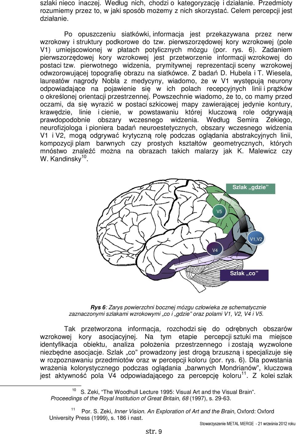 rys. 6). Zadaniem pierwszorzędowej kory wzrokowej jest przetworzenie informacji wzrokowej do postaci tzw.