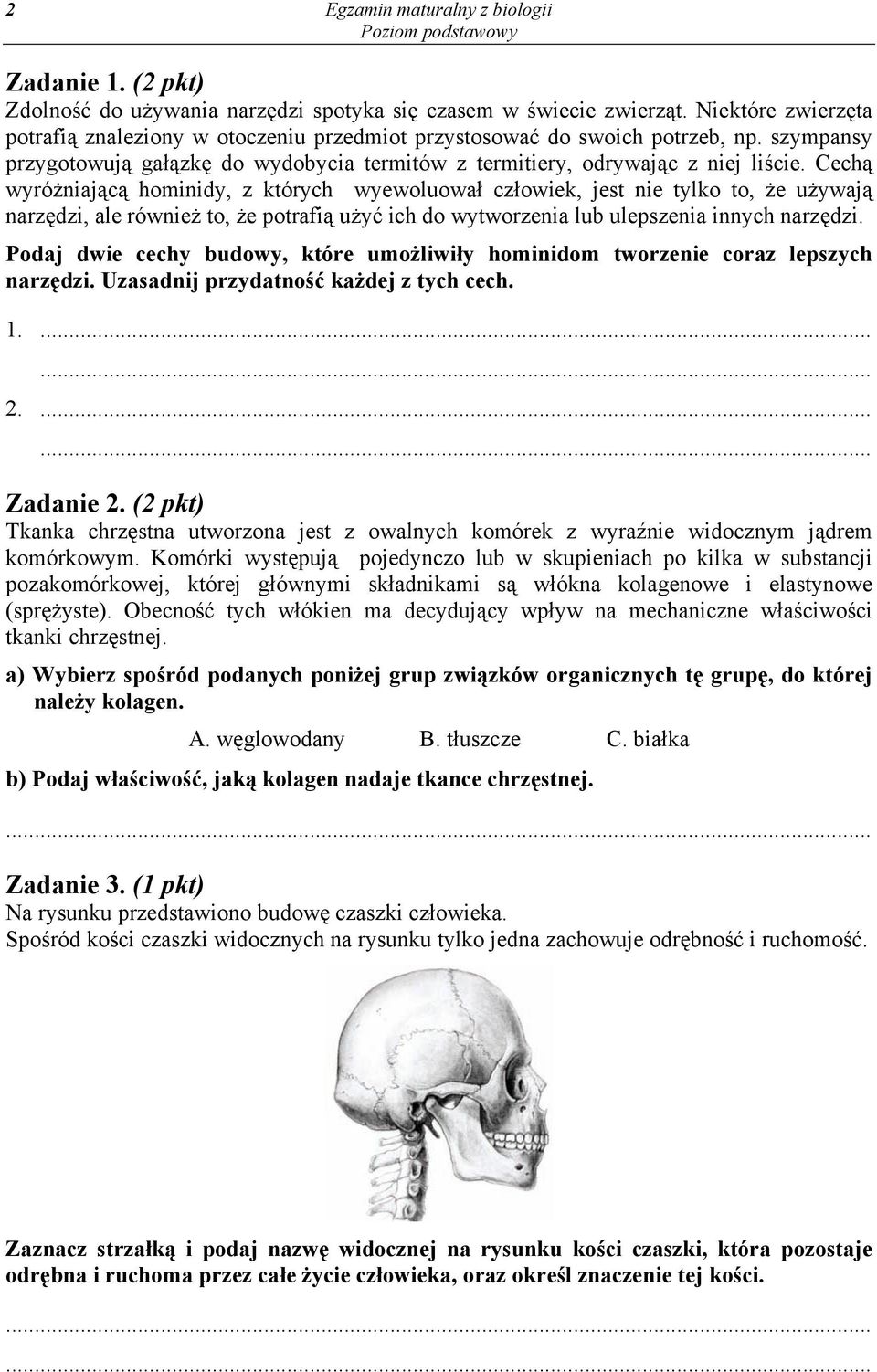 Cechą wyróżniającą hominidy, z których wyewoluował człowiek, jest nie tylko to, że używają narzędzi, ale również to, że potrafią użyć ich do wytworzenia lub ulepszenia innych narzędzi.