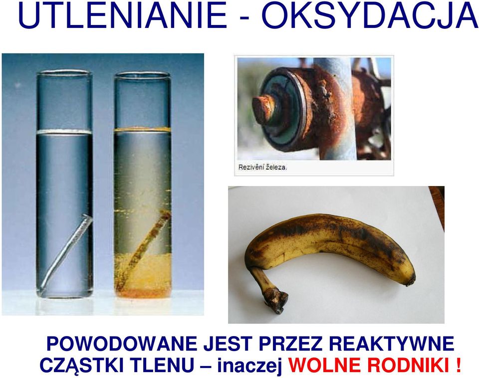 REAKTYWNE CZ STKI