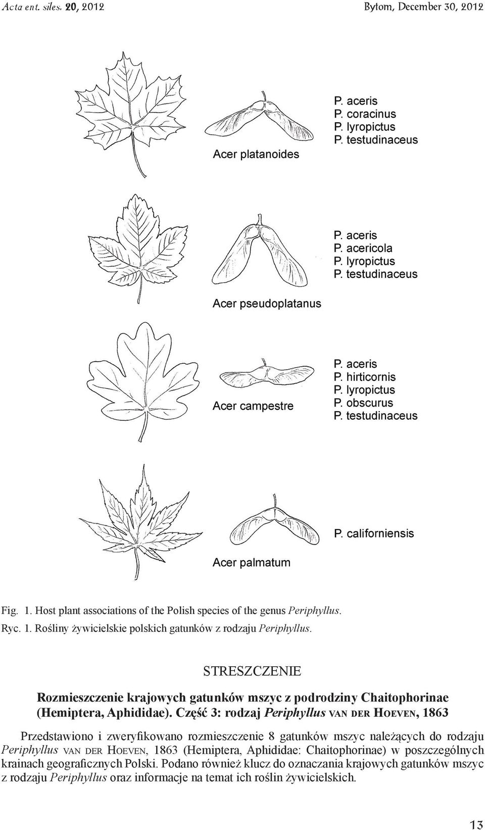 Część 3: rodzaj Periphyllus van der Hoeven, 1863 Przedstawiono i zweryfikowano rozmieszczenie 8 gatunków mszyc należących do rodzaju Periphyllus van der Hoeven,