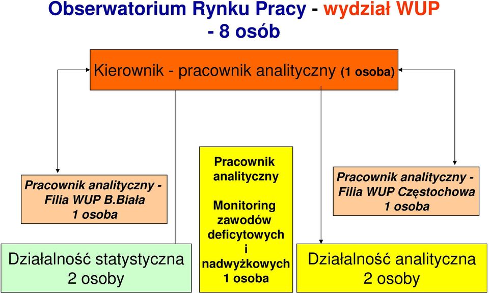 Biała 1 osoba Działalność statystyczna 2 osoby Pracownik analityczny Monitoring