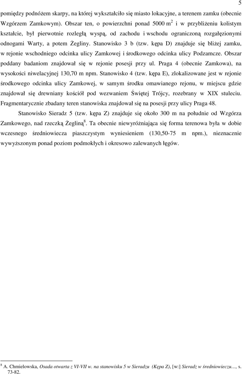 Stanowisko 3 b (tzw. kępa D) znajduje się bliŝej zamku, w rejonie wschodniego odcinka ulicy Zamkowej i środkowego odcinka ulicy Podzamcze.