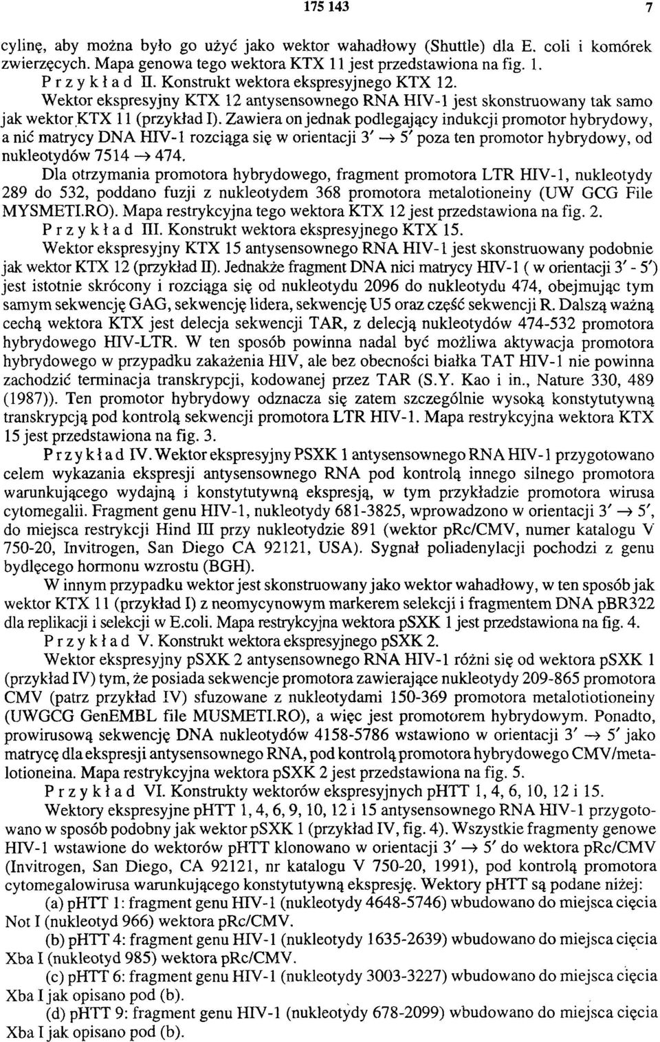 Zawiera on jednak podlegający indukcji promotor hybrydowy, a nić matrycy DNA HI V-1 rozciąga się w orientacji 3' > 5' poza ten promotor hybrydowy, od nukleotydów 7514 > 474.