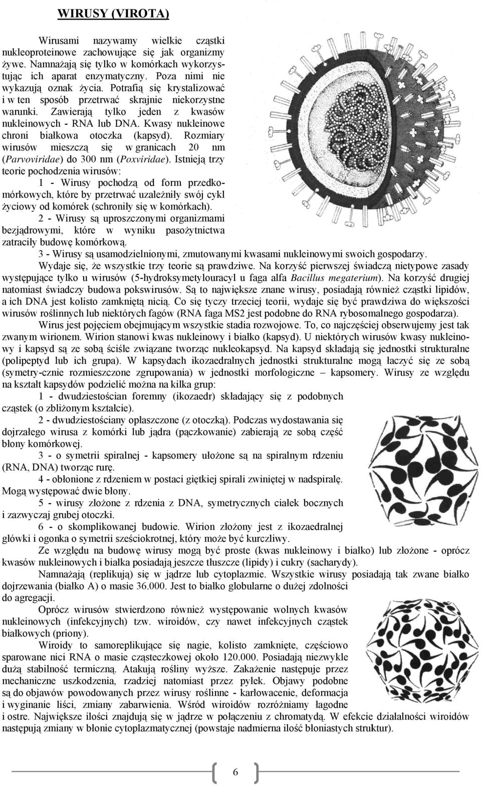 Kwasy nukleinowe chroni białkowa otoczka (kapsyd). Rozmiary wirusów mieszczą się w granicach 20 nm (Parvoviridae) do 3000 nm (Poxviridae).