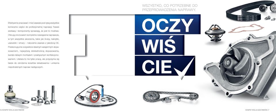 Oferują one bowiem kompletne rozwiązania naprawcze, w tym wszystkie akcesoria, takie jak śruby, nakrętki, uszczelki i smary naturalnie zawsze z jakością OE.