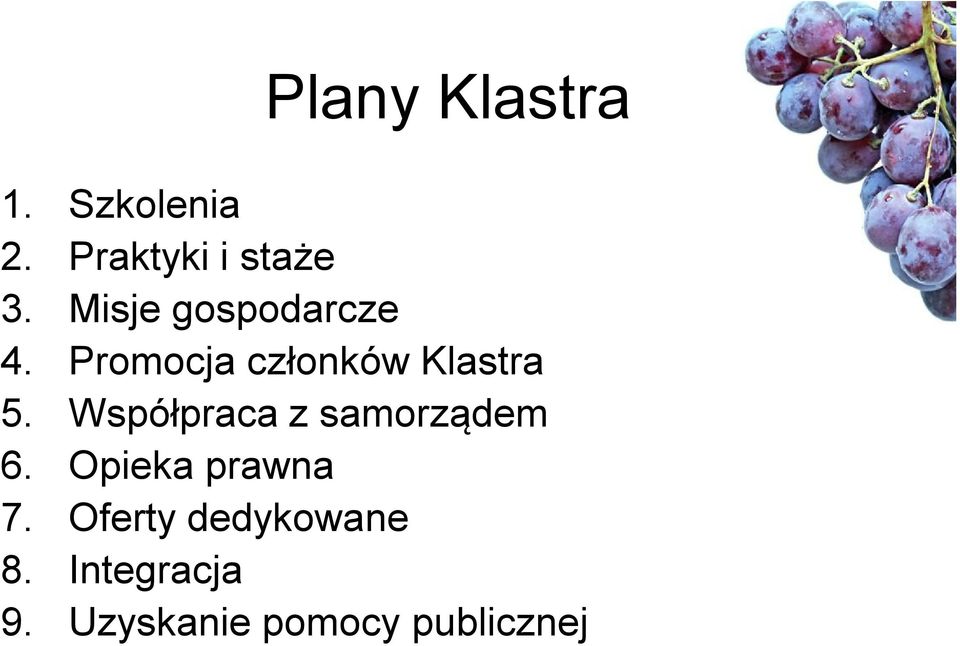 Współpraca z samorządem 6. Opieka prawna 7.