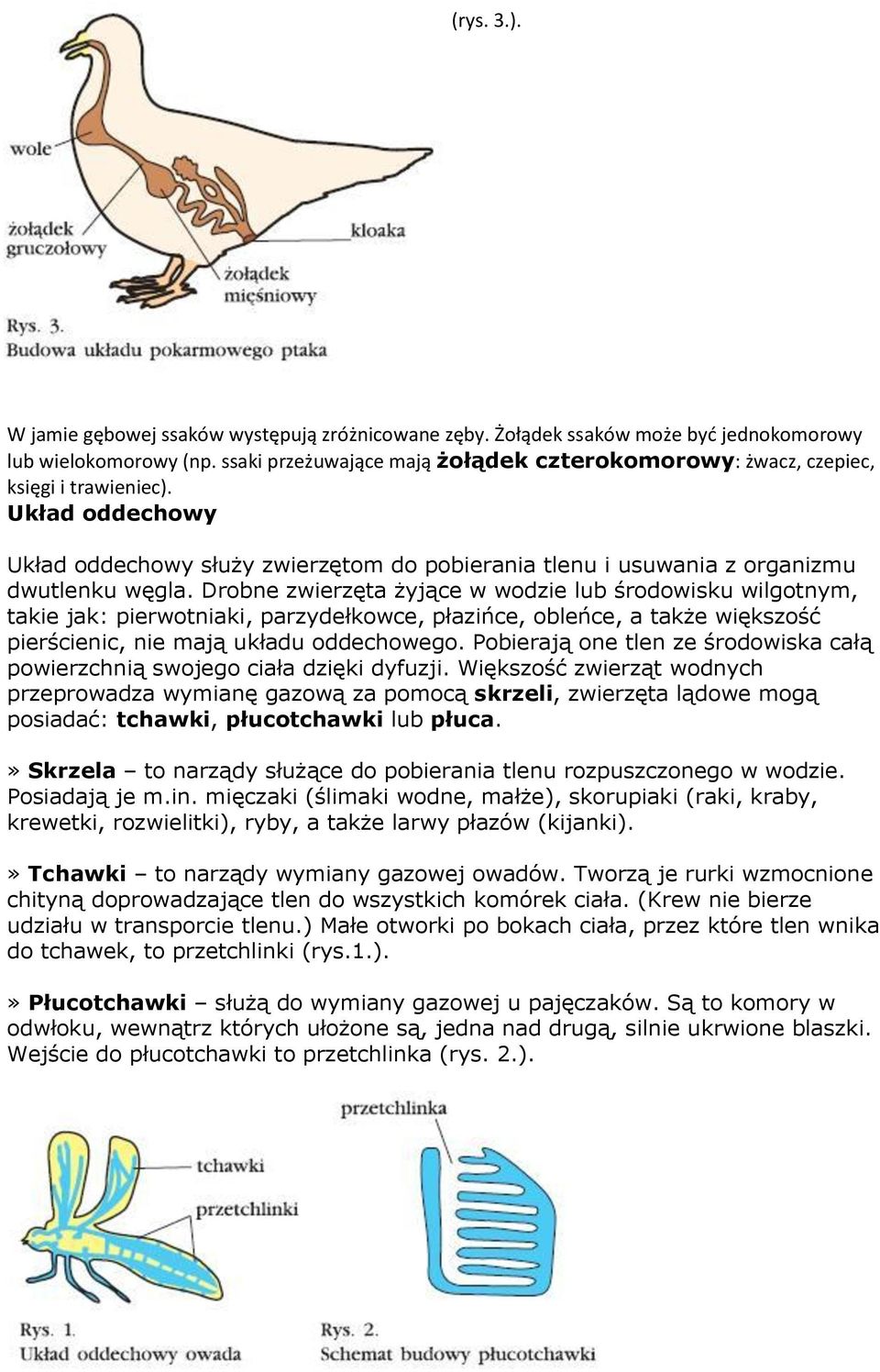 Drobne zwierzęta żyjące w wodzie lub środowisku wilgotnym, takie jak: pierwotniaki, parzydełkowce, płazińce, obleńce, a także większość pierścienic, nie mają układu oddechowego.